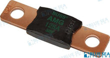 FUSIBLE MEGA 125 AMP/32 VOLTS | OEM 5102 | FUSIBLES |
