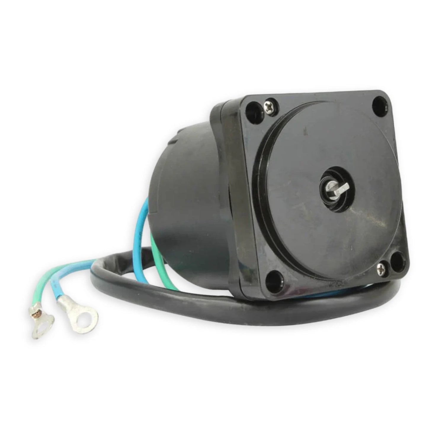 Black trim pump motor showing blue and green wires.