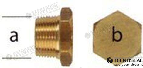 PLUG FOR YANMAR | OEM 01317TP | ANODES | TECNOSEAL