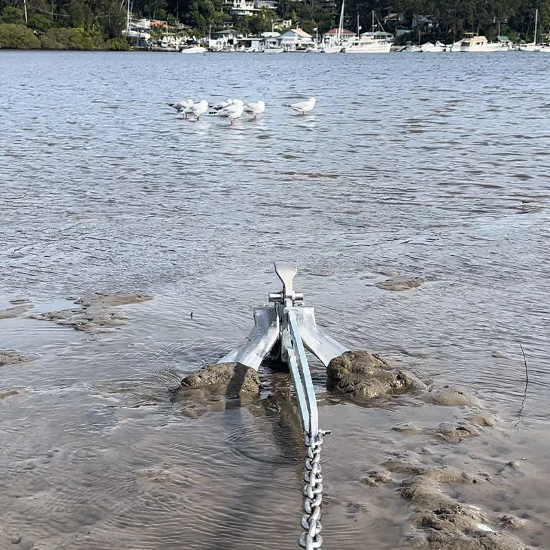 Active Anchor at the muddy water edge with its shank and flukes visible.