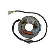 Image of a coil style outboard engine alternator on a white background.