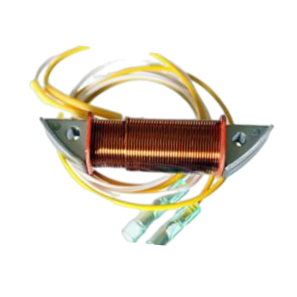 Image of a coil style outboard engine alternator on a white background.
