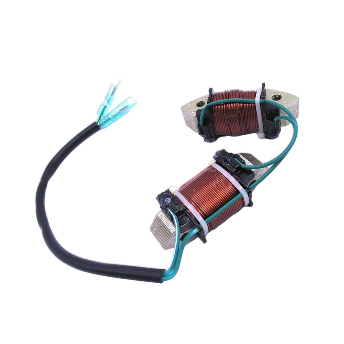 Image of a coil style outboard engine alternator on a white background.