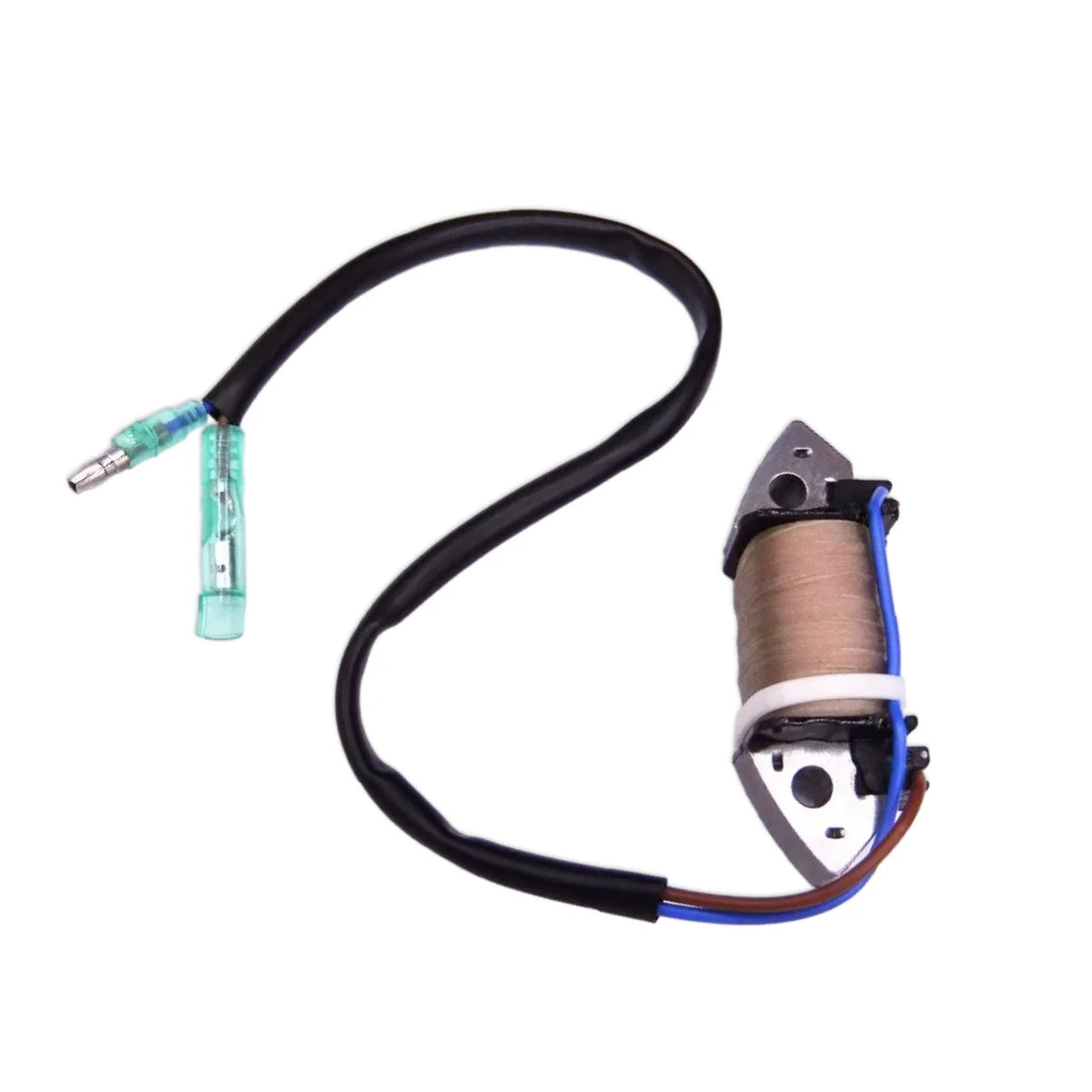 Image of a coil style outboard engine alternator on a white background.