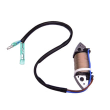 Image of a coil style outboard engine alternator on a white background.