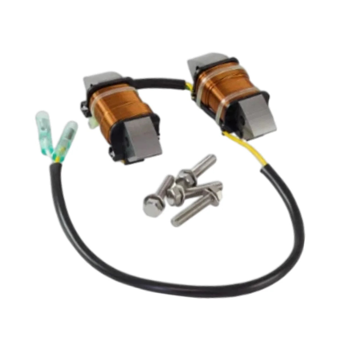 Image of a coil style outboard engine alternator on a white background.
