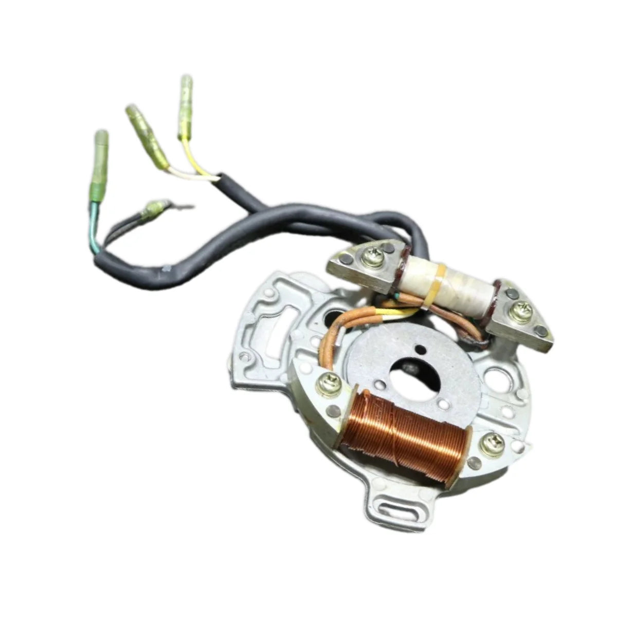 Image of a coil style outboard engine alternator on a white background.