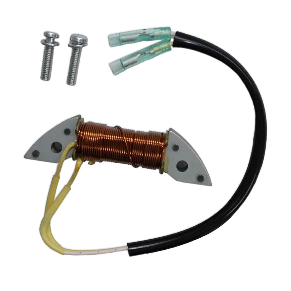 Image of a coil style outboard engine alternator on a white background.
