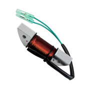 Image of a coil style outboard engine alternator on a white background.