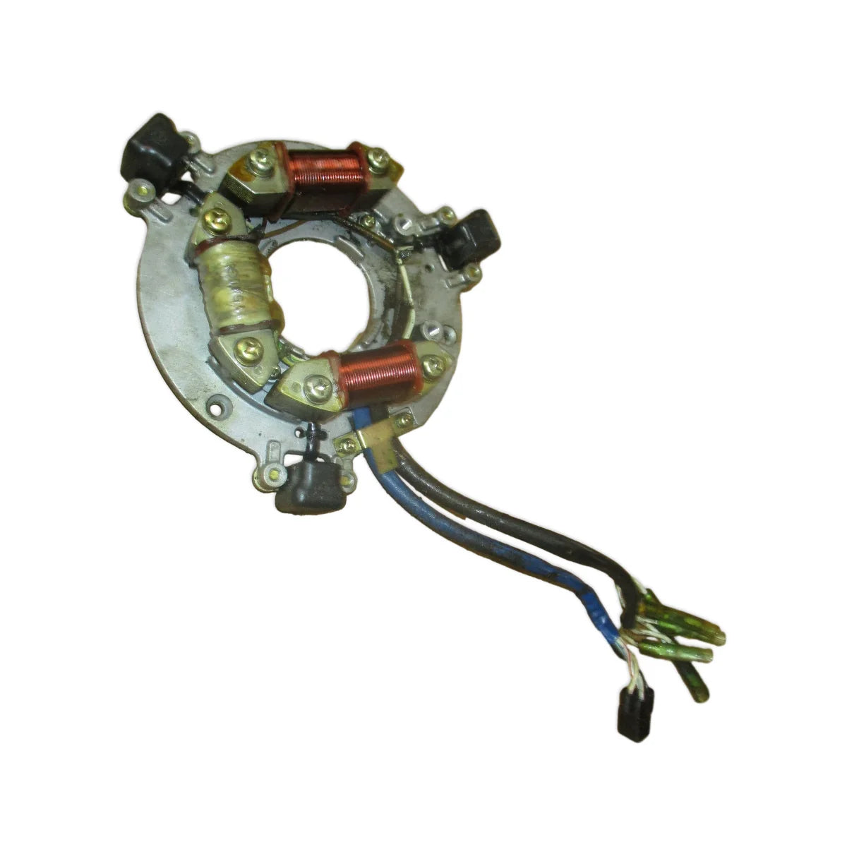 Image of a coil style outboard engine alternator on a white background.