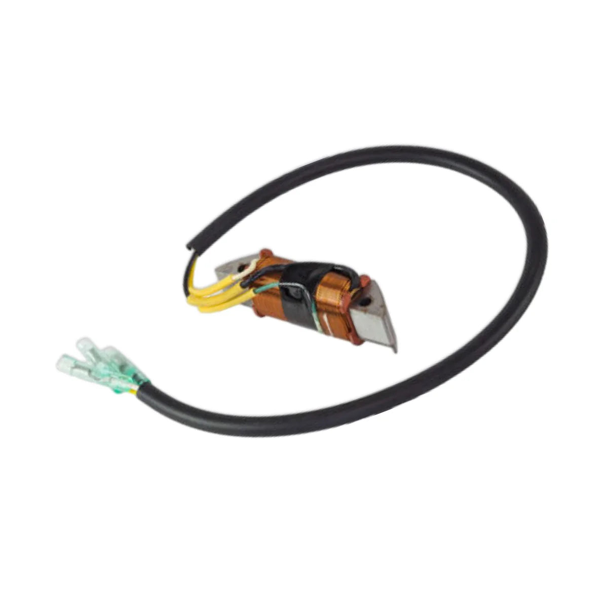 Image of a coil style outboard engine alternator on a white background.