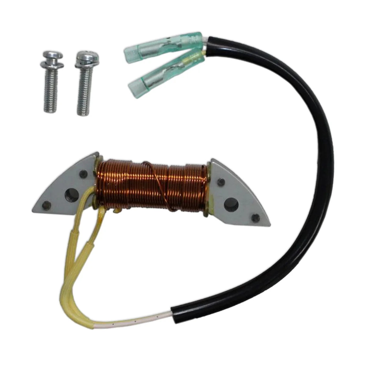 Image of a coil style outboard engine alternator on a white background.