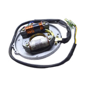 Image of a coil style outboard engine alternator on a white background.