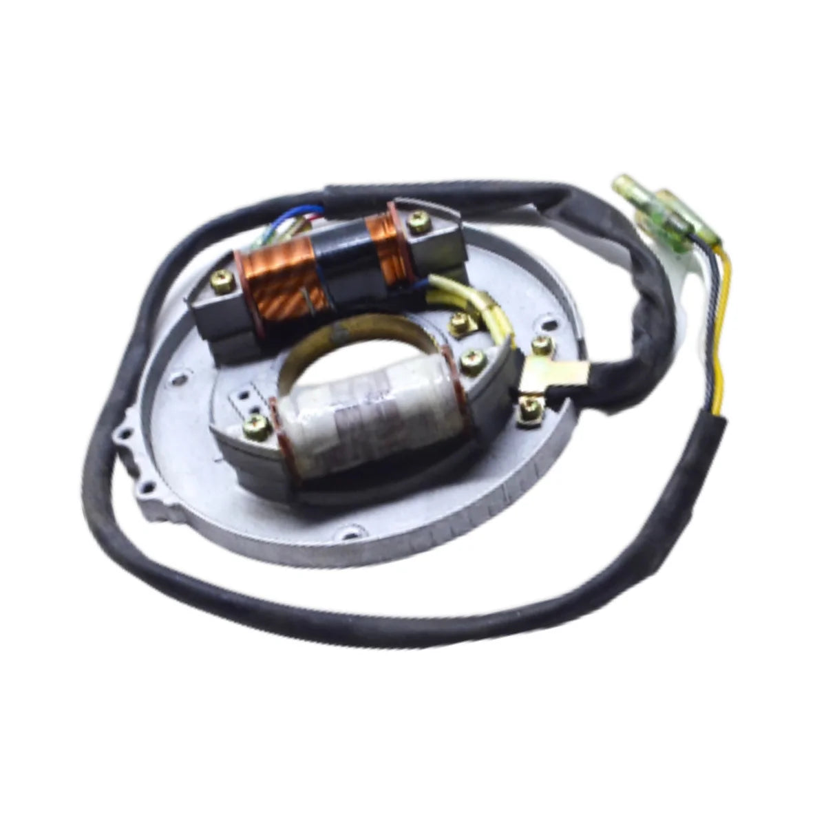 Image of a coil style outboard engine alternator on a white background.