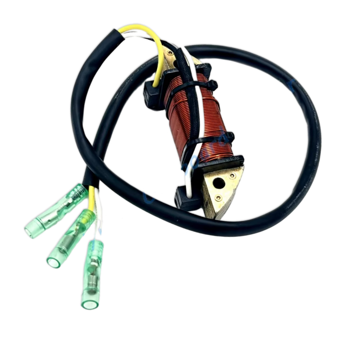 Image of a coil style outboard engine alternator on a white background.