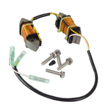Image of a coil style outboard engine alternator on a white background.