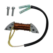 Image of a coil style outboard engine alternator on a white background.