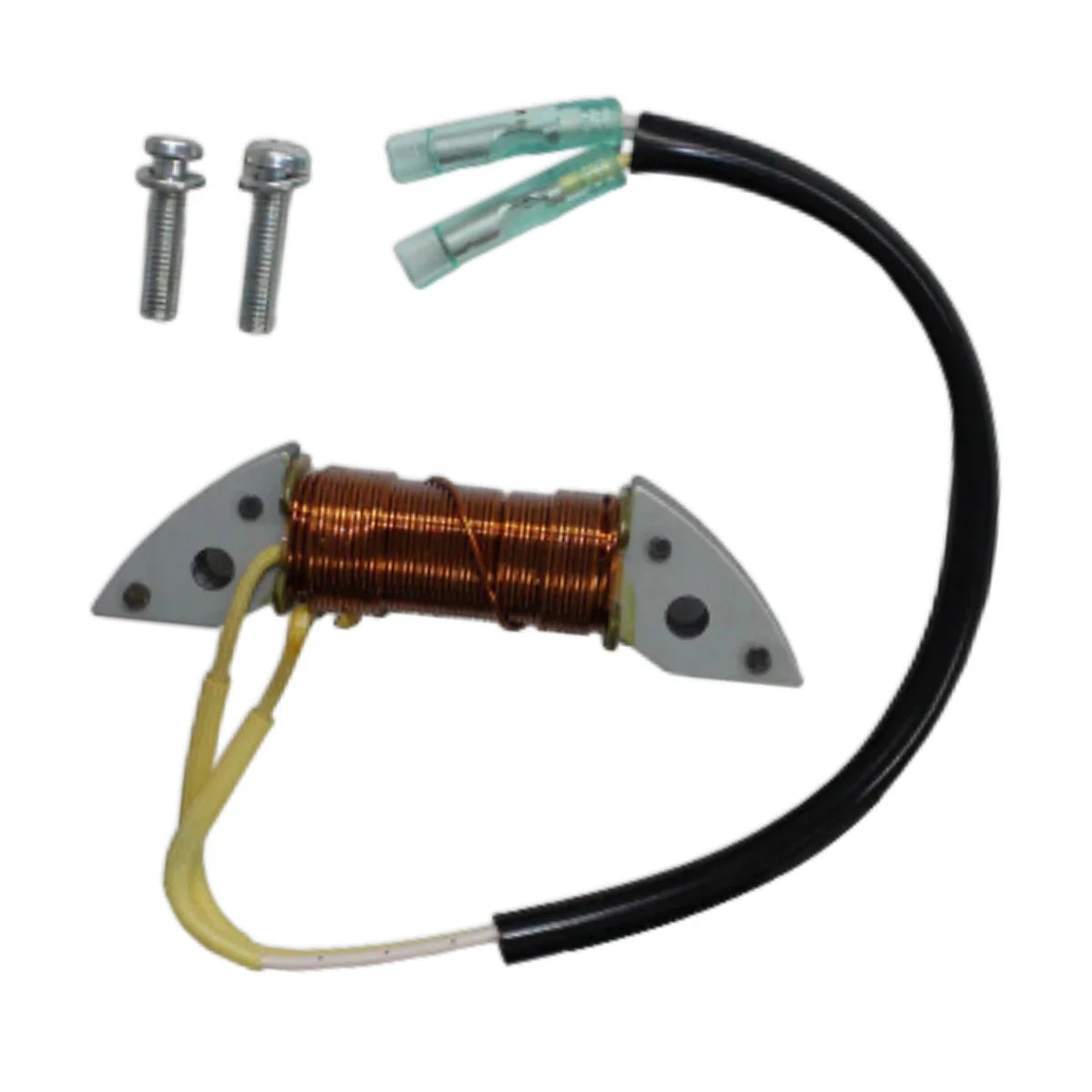 Image of a coil style outboard engine alternator on a white background.
