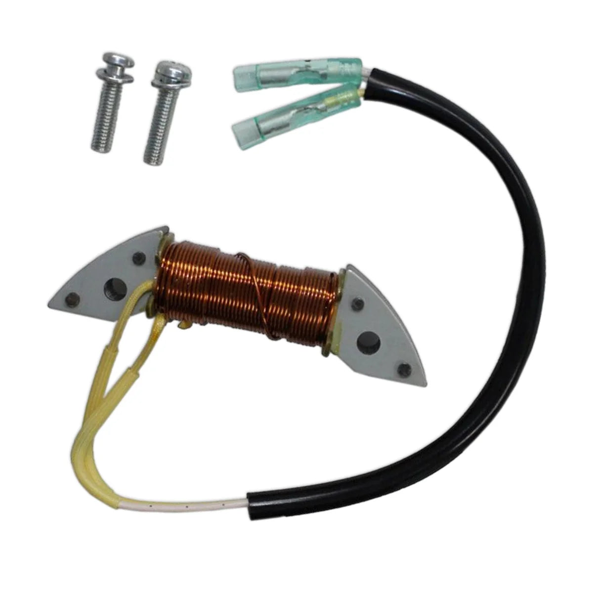 Image of a coil style outboard engine alternator on a white background.