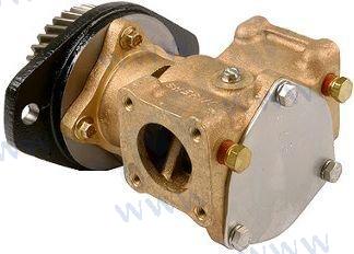BOMBA DE AGUA CUMMINS | OEM 1730