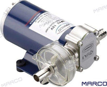 POMPE À ENGRENAGES UP12 12 V | OEM 20195 | POMPES | GOLDENSHIP