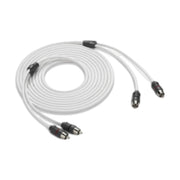 Image of a coiled up audio signal RCA cable with two connectors one each end on a white background.