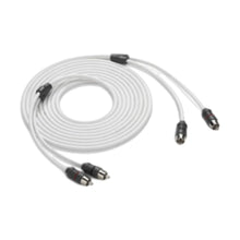 Image of a coiled up audio signal RCA cable with two connectors one each end on a white background.