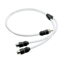 image of an RCA splitter with a one male jack and two female jacks on a white background.