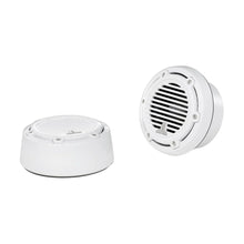 Image of a pair of tweeter speakers on a white background.