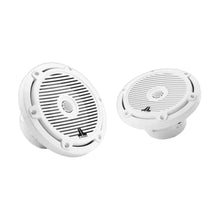 Image of a pair of marine speakers on a white background.