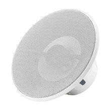 Image of a marine speaker on a white background.