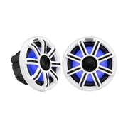 Image of a pair of marine speakers on a white background.