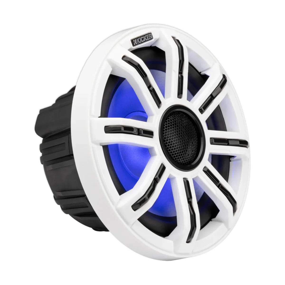 Image of a marine speaker on a white background.