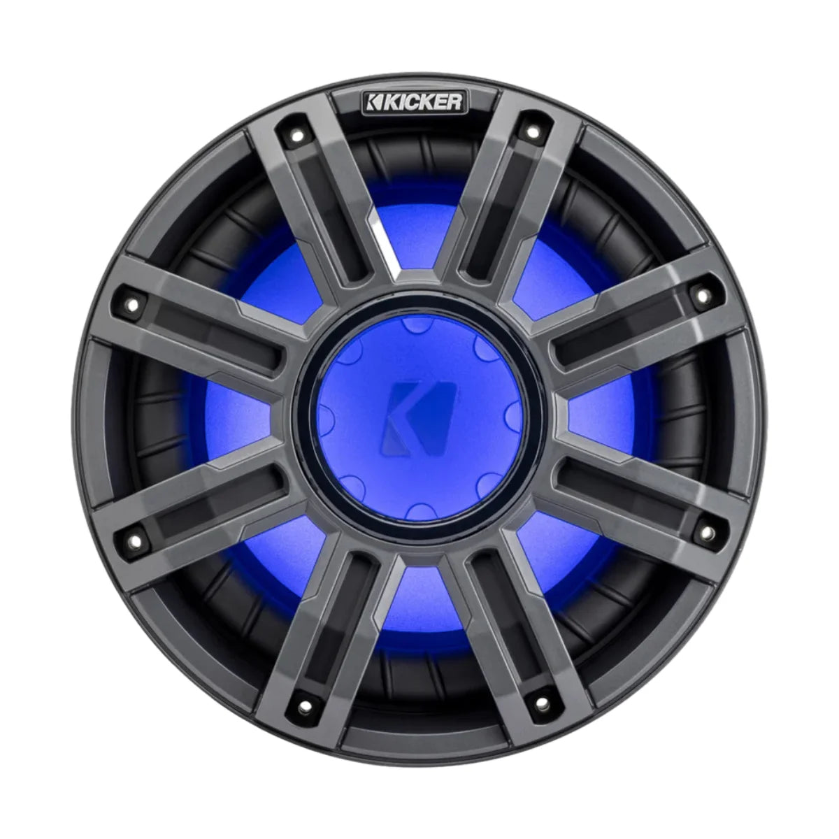 Image of a marine subwoofer speaker on a white background.