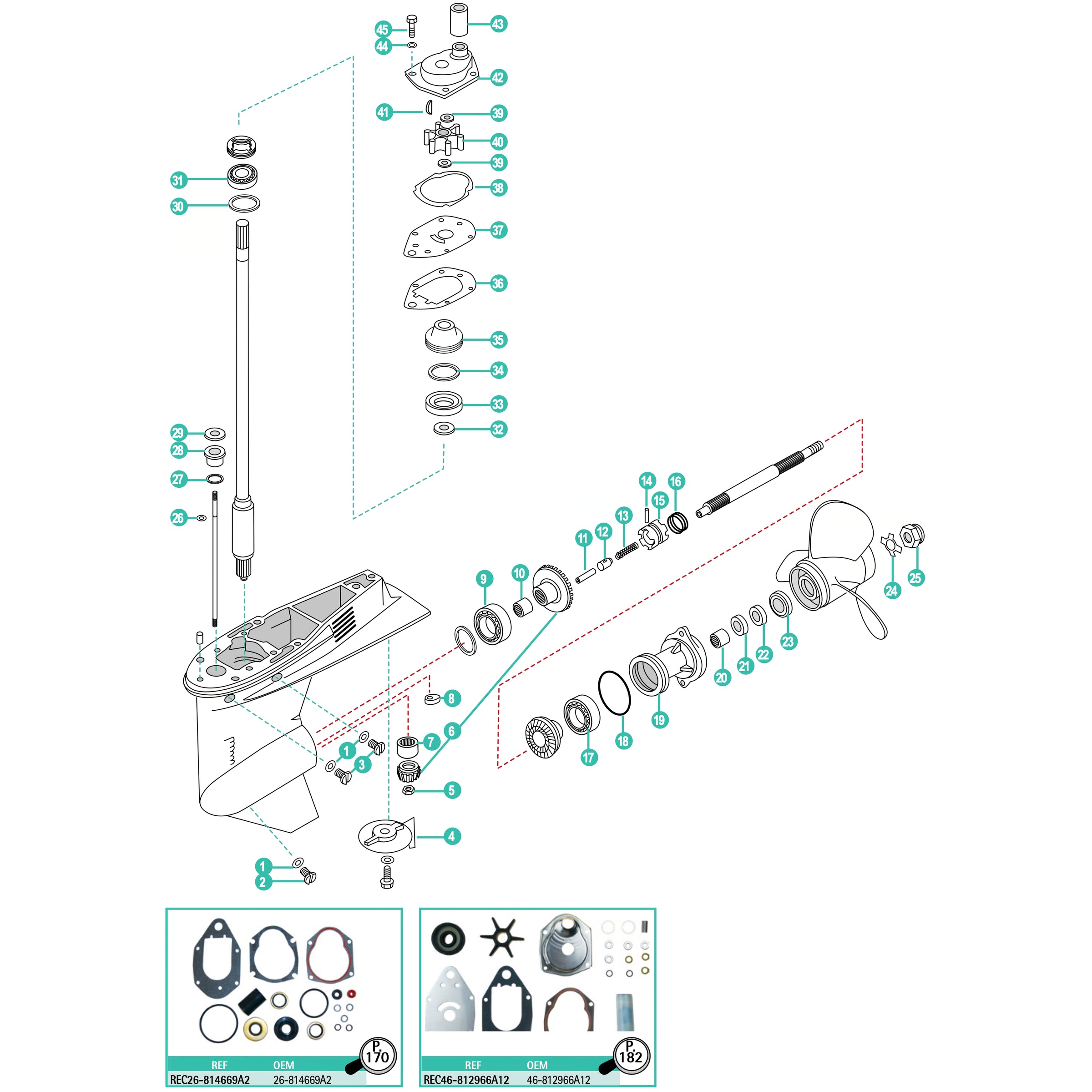 Mercury / Mariner 30, 40, 50, 60 HP (4-cylinder) EFI / 40 carburettor (3-cylinder) gearcase gears, shafts and seals exploded diagram
