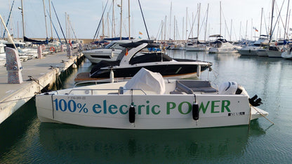 Moteur hors-bord électrique 115 CV (grand modèle) | OEM ELZO115CL