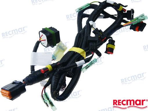 CONJUNTO DE CABLE DE ECU, ARRANQUE ELÉCTRICO | OEM 20-05001700WEFI-A | PIEZAS | PARSUN