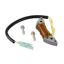 Image of a coil style outboard engine alternator on a white background.