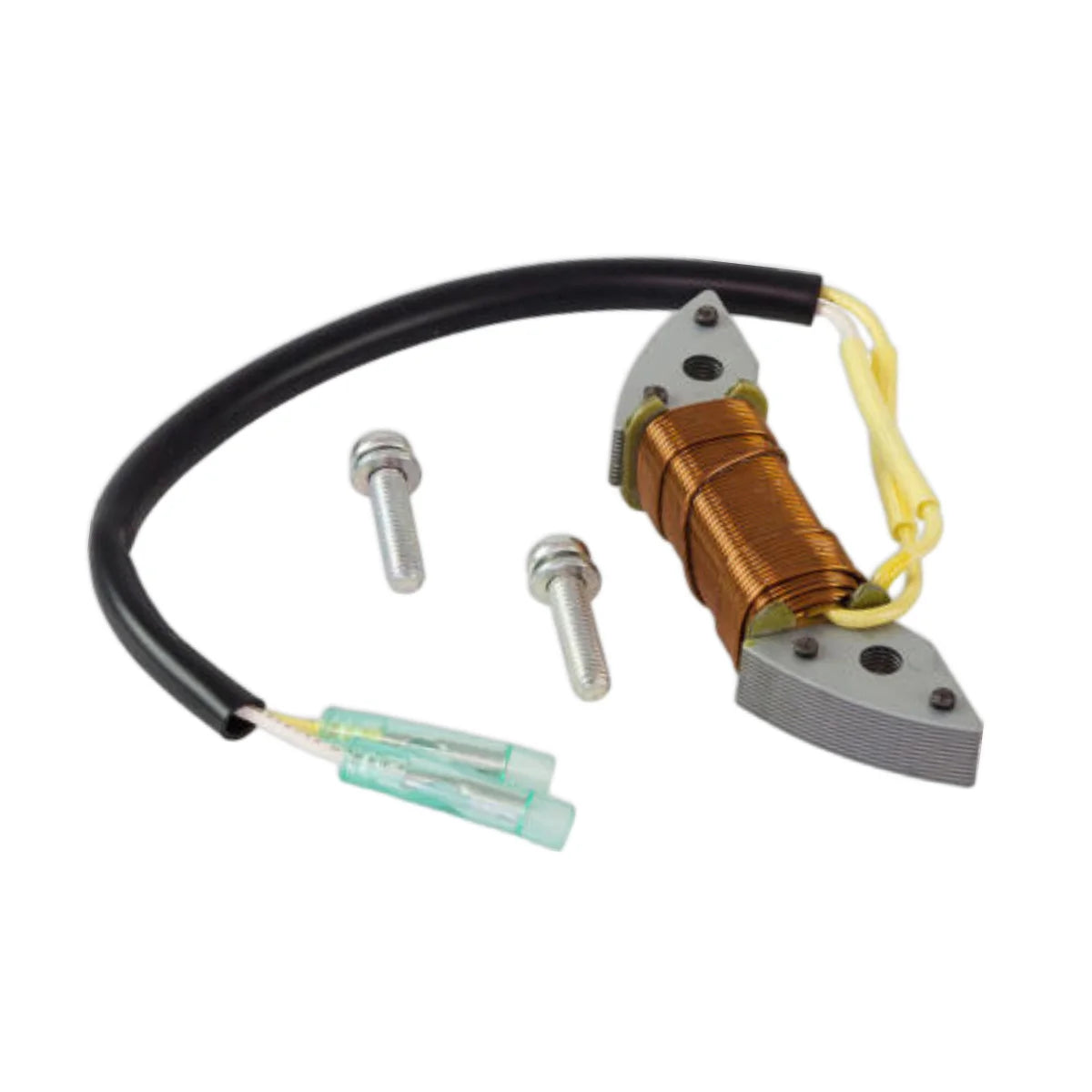 Image of a coil style outboard engine alternator on a white background.