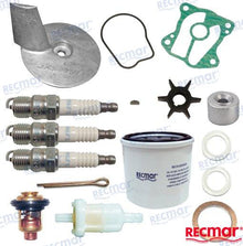 KIT DE MANTENIMIENTO HONDA | OEM 06211-ZV7-505 | BF25D BF30D | RECMAR