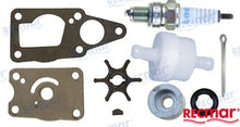KIT DE MANTENIMIENTO SUZUKI | OEM 17400-91860 | KIT DE MANTENIMIENTO | SUZUKI