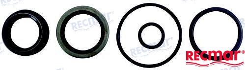KIT DE SELLOS DE CIGÜEÑAL | OEM 18-4329 | CIGÜEÑAL | RECMAR