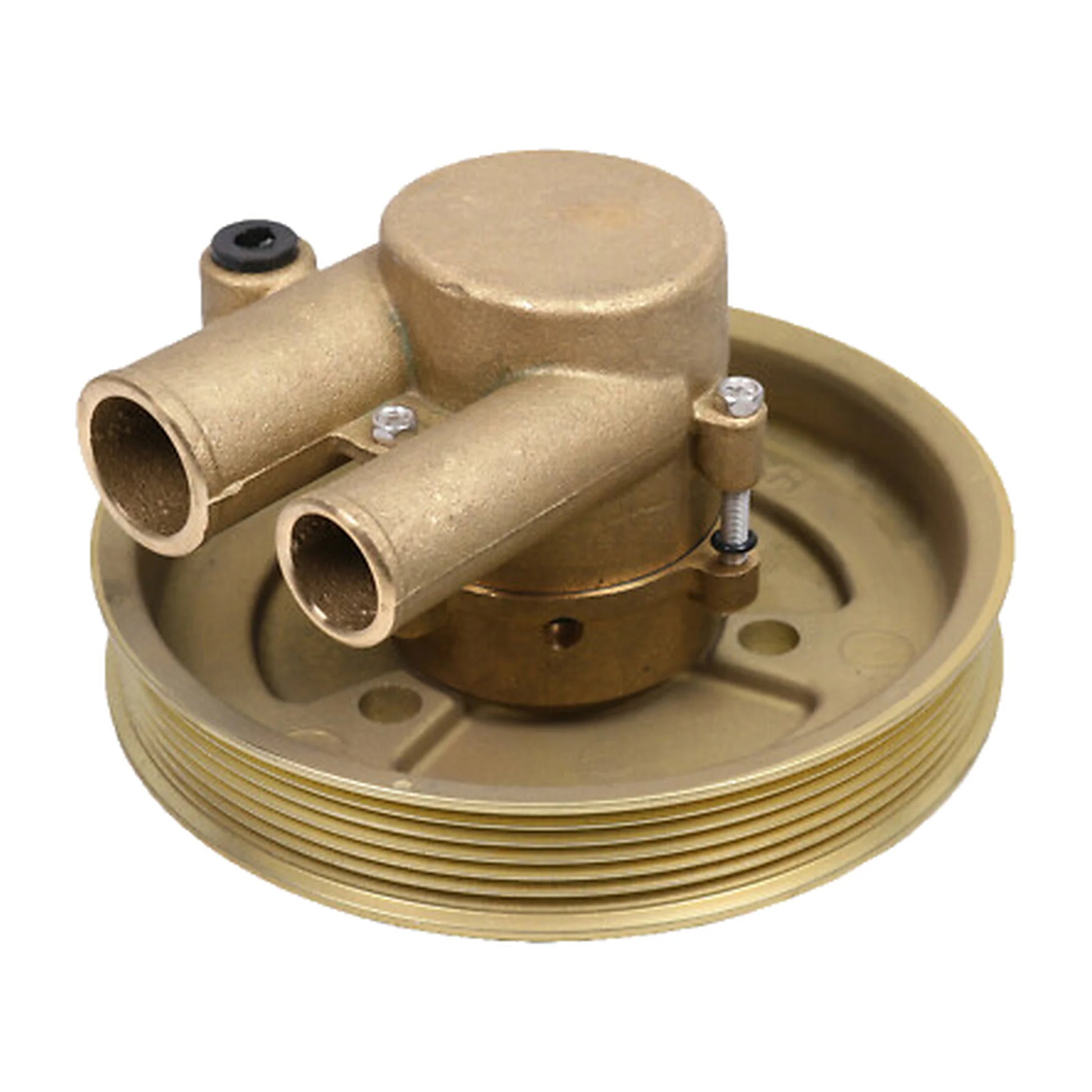 Recmar REC21212799 Volvo Penta raw sea water pump front right view with twin hose ports.