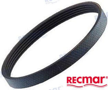 CORREA YANMAR | OEM 25132-003100 | CORREAS | RECMAR