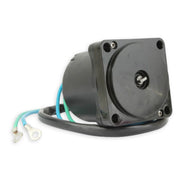 Black trim pump motor showing blue and green wires.