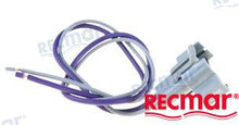 CABLE CONDUCTOR: ARNÉS DE BOBINA | OEM 500442 | PIEZAS | RECMAR