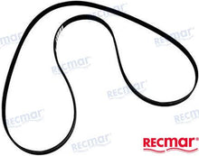 CINTURÓN MERCRUISER | OEM 57-865615Q08 | CINTURONES | RECMAR