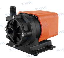 BOMBA DE CIRCULACIÓN DE AIRE 500 GPH 230 V | OEM 500-01 | BOMBAS | SEAFLOW