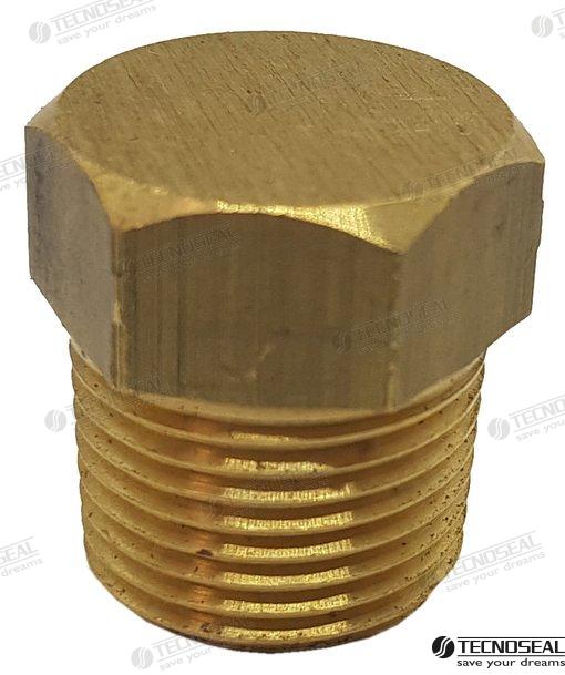 Bouchon en laiton pour anode Onan | OEM 02031TP | Anodes | Tecnoseal