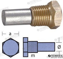 ANODE BUKH W/TAP | OEM  02053T | ANODES | TECNOSEAL